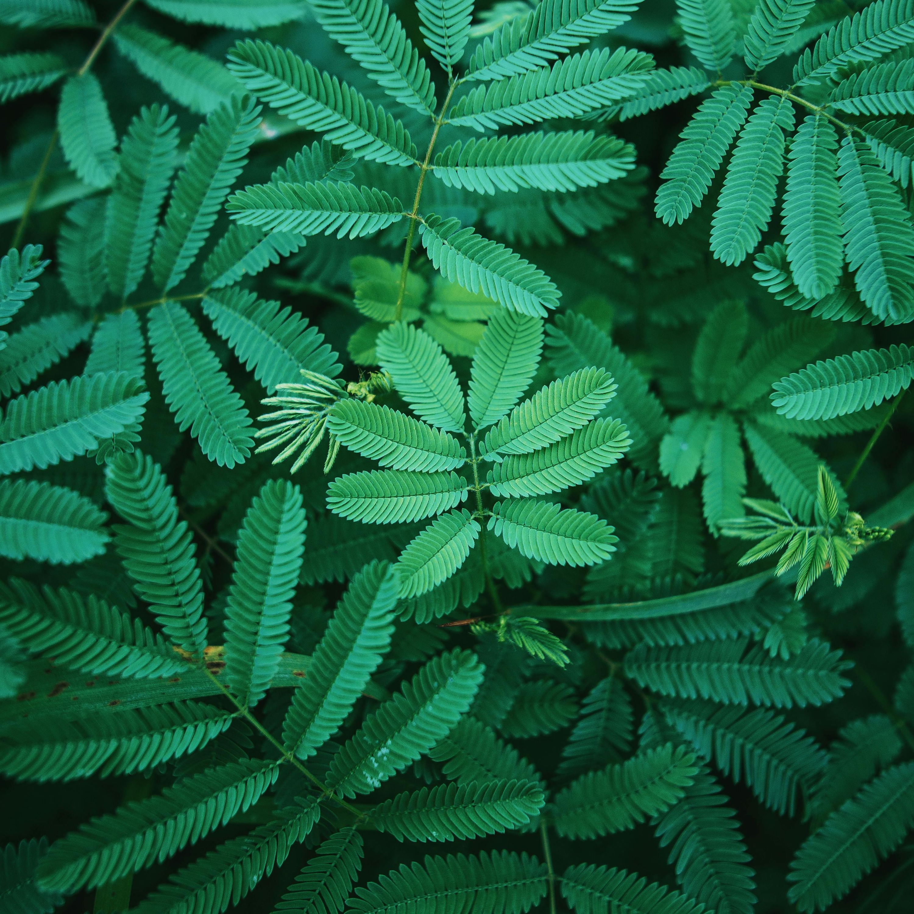 Network FP Sales | test | Kameng